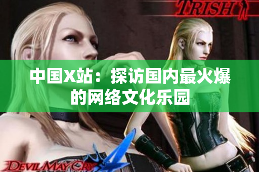 中国X站：探访国内最火爆的网络文化乐园