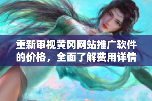 重新审视黄冈网站推广软件的价格，全面了解费用详情
