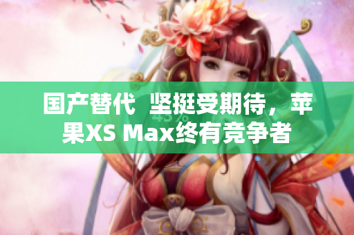 国产替代  坚挺受期待，苹果XS Max终有竞争者