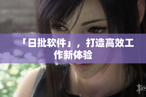 「日批软件」，打造高效工作新体验