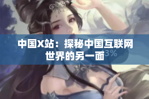 中国X站：探秘中国互联网世界的另一面