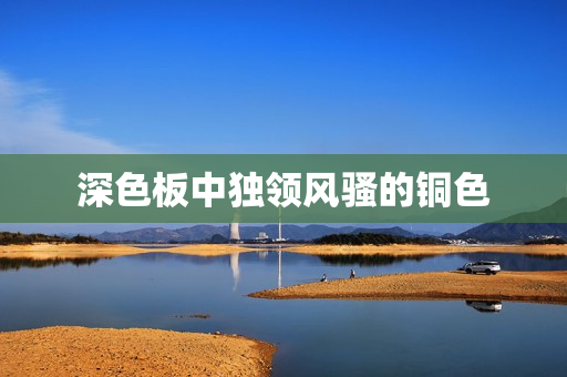 深色板中独领风骚的铜色