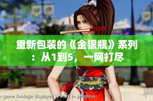 重新包装的《金银瓶》系列：从1到5，一网打尽