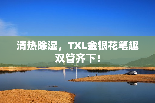 清热除湿，TXL金银花笔趣双管齐下！