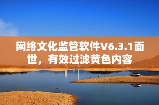 网络文化监管软件V6.3.1面世，有效过滤黄色内容