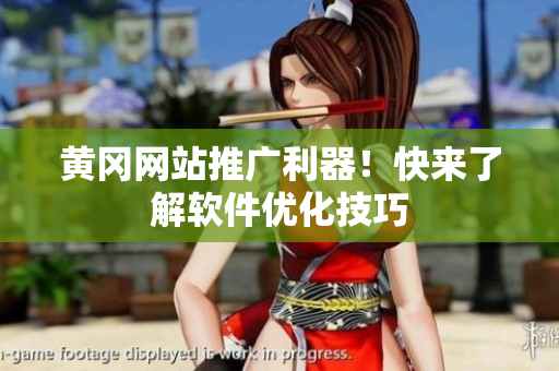 黄冈网站推广利器！快来了解软件优化技巧