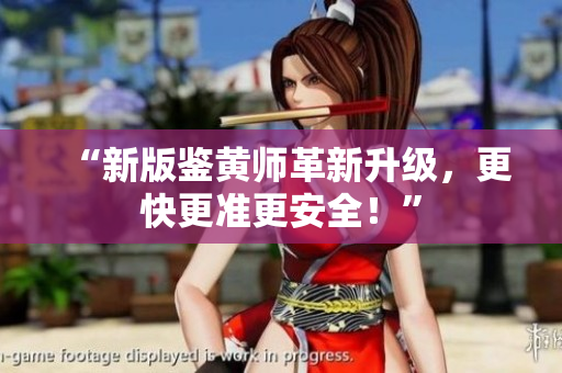 “新版鉴黄师革新升级，更快更准更安全！”