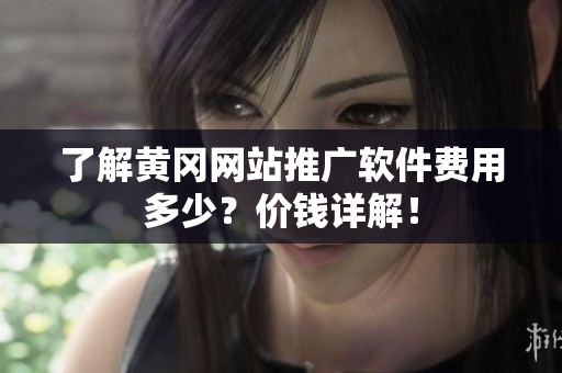 了解黄冈网站推广软件费用多少？价钱详解！
