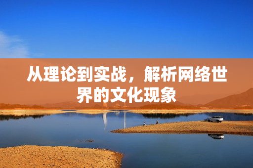 从理论到实战，解析网络世界的文化现象