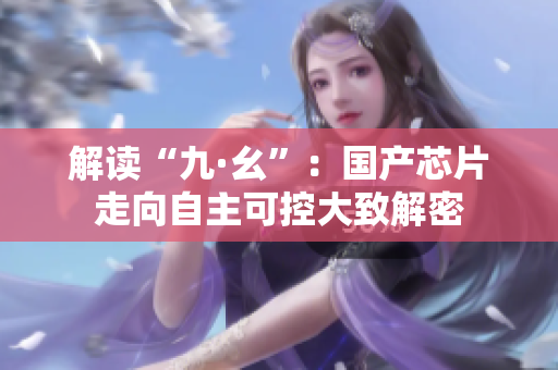 解读“九·幺”：国产芯片走向自主可控大致解密