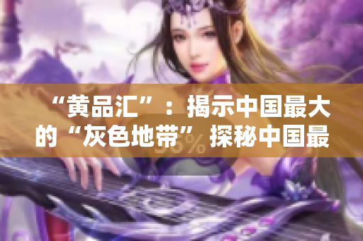 “黄品汇”：揭示中国最大的“灰色地带” 探秘中国最大“灰色地带”-黄品汇