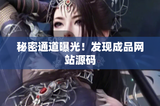 秘密通道曝光！发现成品网站源码