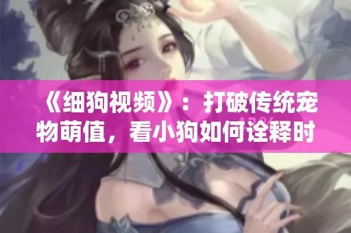 《细狗视频》：打破传统宠物萌值，看小狗如何诠释时尚文化