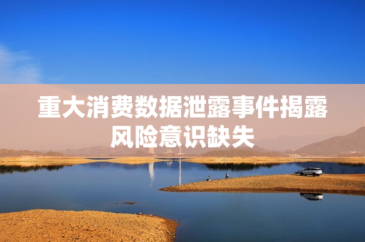 重大消费数据泄露事件揭露风险意识缺失