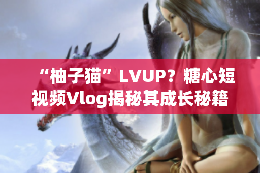 “柚子猫”LVUP？糖心短视频Vlog揭秘其成长秘籍