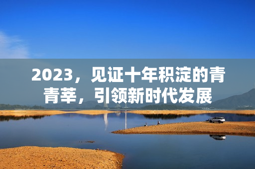 2023，见证十年积淀的青青莘，引领新时代发展