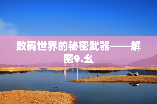 数码世界的秘密武器——解密9.幺