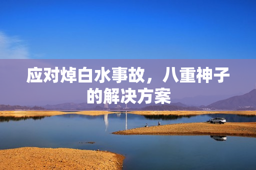 应对焯白水事故，八重神子的解决方案