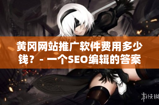 黄冈网站推广软件费用多少钱？- 一个SEO编辑的答案