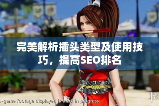 完美解析插头类型及使用技巧，提高SEO排名