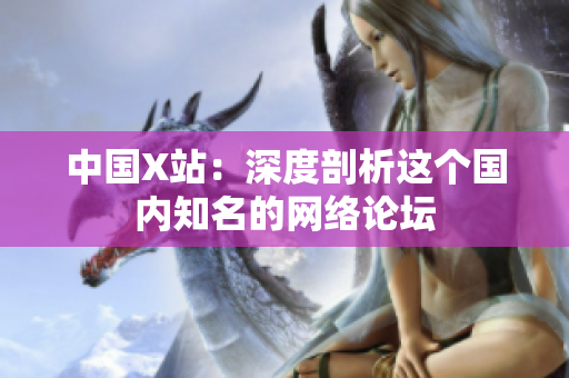 中国X站：深度剖析这个国内知名的网络论坛