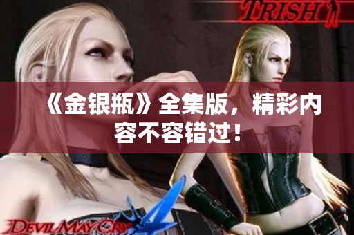 《金银瓶》全集版，精彩内容不容错过！