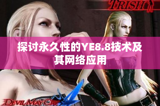 探讨永久性的YE8.8技术及其网络应用