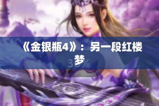《金银瓶4》：另一段红楼梦