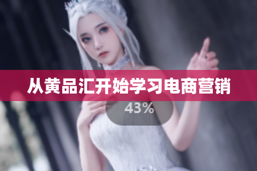 从黄品汇开始学习电商营销