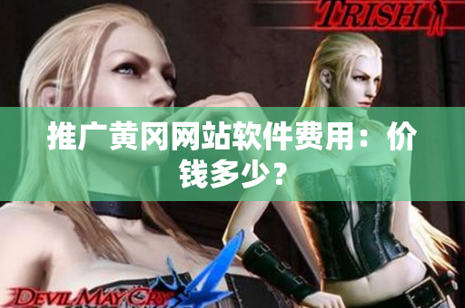 推广黄冈网站软件费用：价钱多少？
