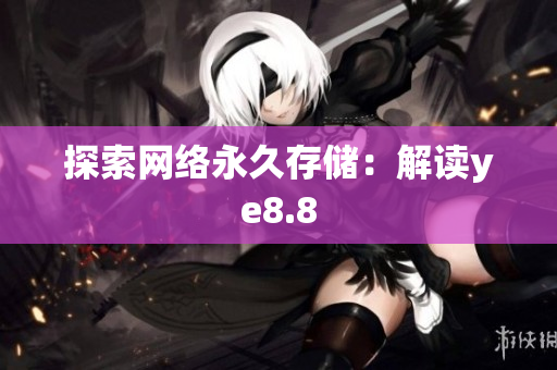 探索网络永久存储：解读ye8.8