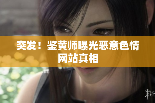 突发！鉴黄师曝光恶意色情网站真相