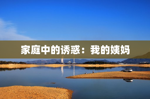 家庭中的诱惑：我的姨妈