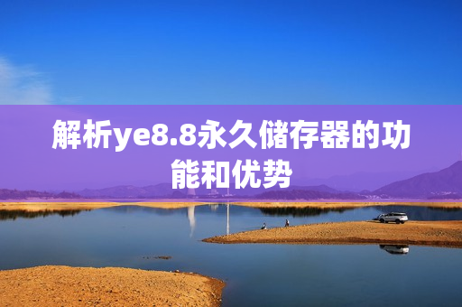 解析ye8.8永久储存器的功能和优势
