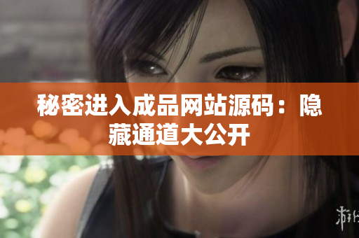 秘密进入成品网站源码：隐藏通道大公开