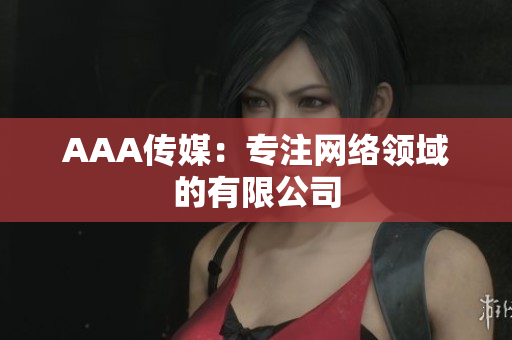 AAA传媒：专注网络领域的有限公司