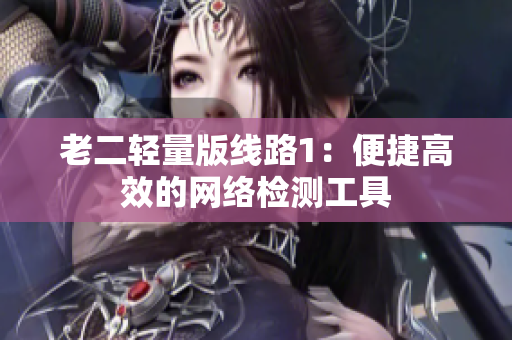 老二轻量版线路1：便捷高效的网络检测工具