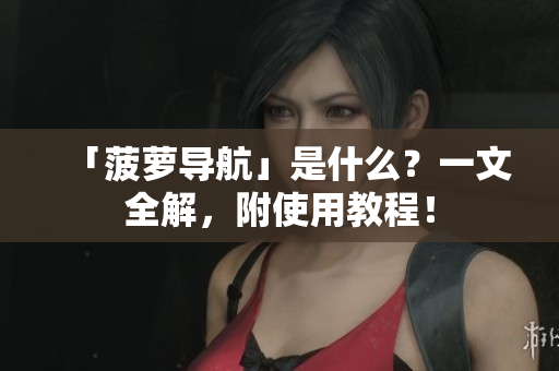 「菠萝导航」是什么？一文全解，附使用教程！