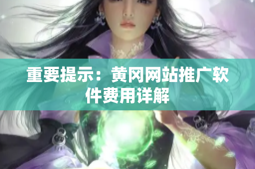 重要提示：黄冈网站推广软件费用详解