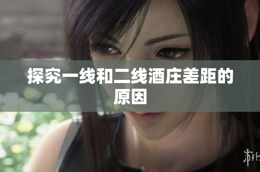 探究一线和二线酒庄差距的原因