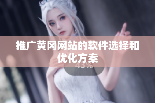 推广黄冈网站的软件选择和优化方案