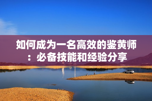 如何成为一名高效的鉴黄师：必备技能和经验分享