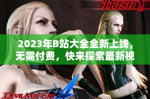 2023年B站大全全新上线，无需付费，快来探索最新视频资源