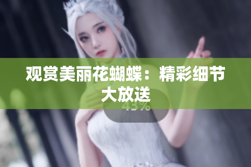 观赏美丽花蝴蝶：精彩细节大放送