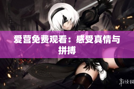 爱营免费观看：感受真情与拼搏