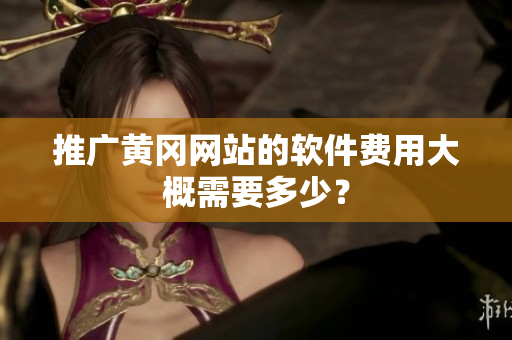 推广黄冈网站的软件费用大概需要多少？