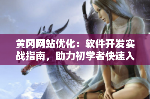 黄冈网站优化：软件开发实战指南，助力初学者快速入门！