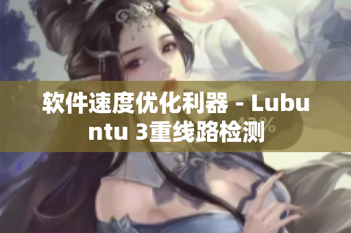 软件速度优化利器 - Lubuntu 3重线路检测