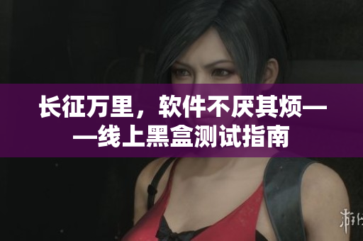 长征万里，软件不厌其烦——线上黑盒测试指南