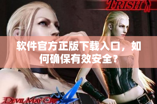 软件官方正版下载入口，如何确保有效安全？